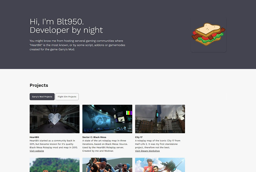 A screenshot of the website saying: Hi I'm Blt950, developer by night as largest title.